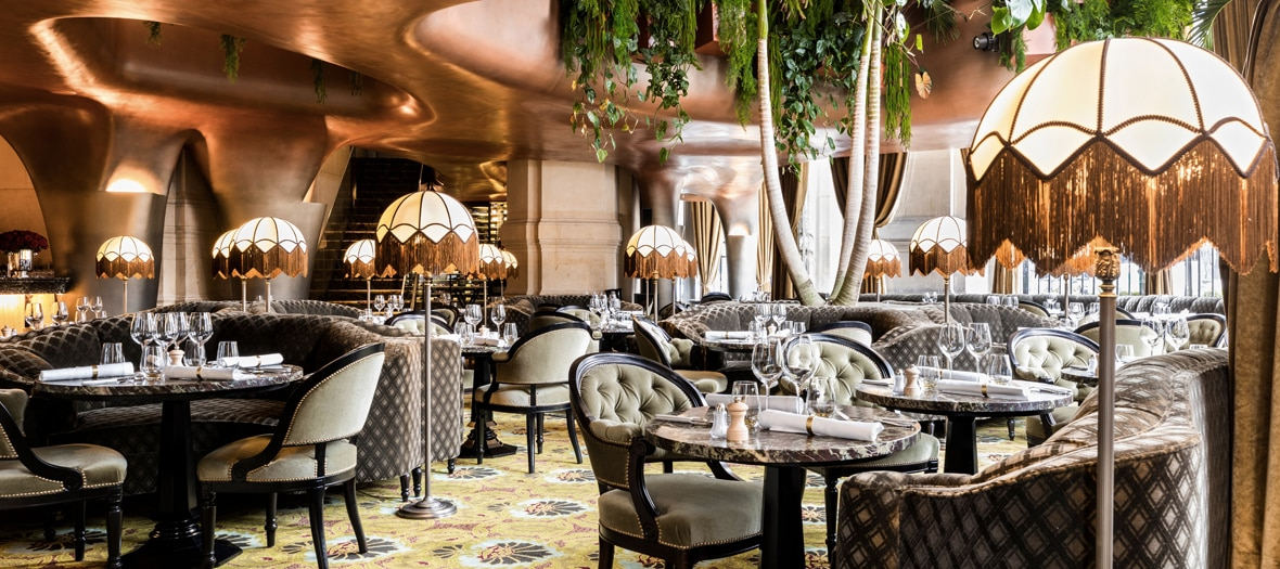 Top Restaurants for Special Occasions in Paris